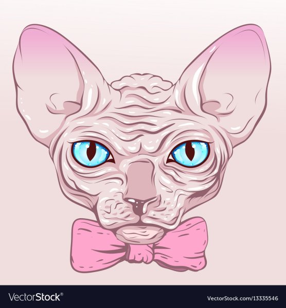 Кот сфинкс мультяшный
