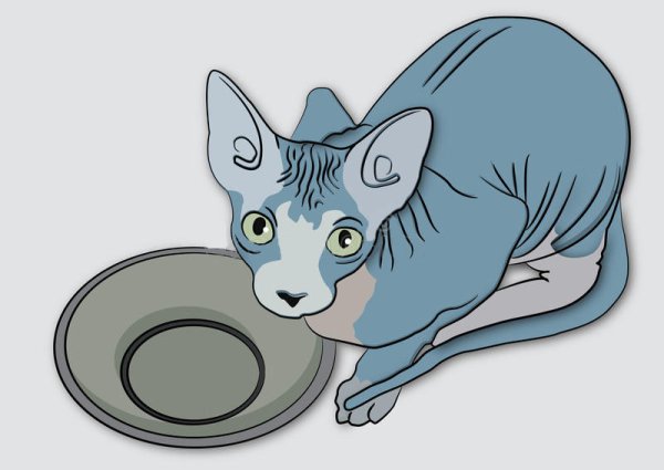 Миска для сфинкса