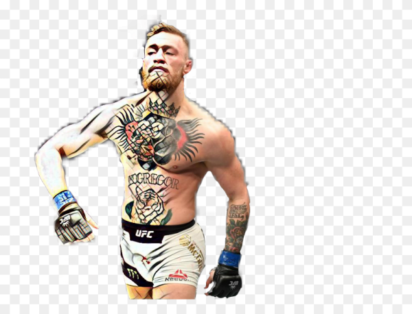 Джейк пол Конор МАКГРЕГОР