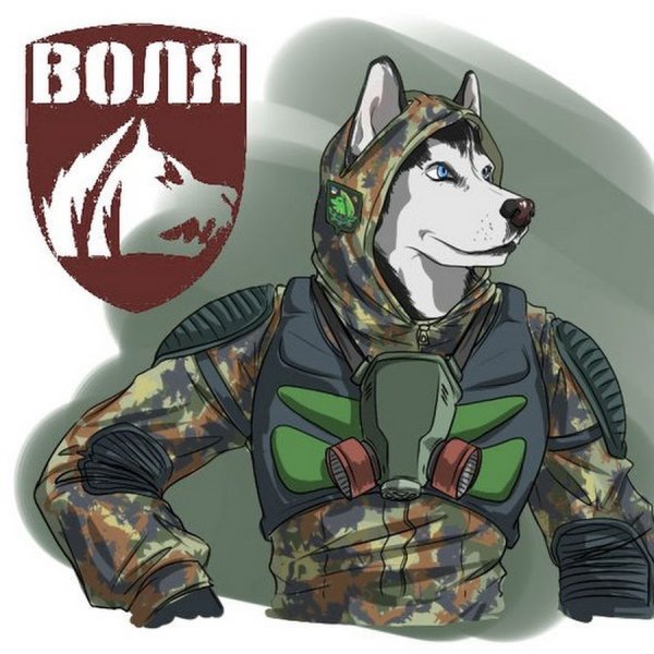 Воля сталкер