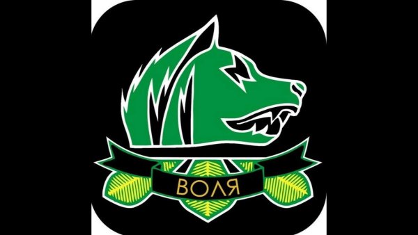 Свобода сталкер эмблема на рабочий стол