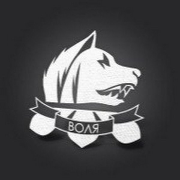 Свобода сталкер эмблема