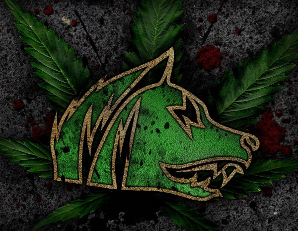 Группировка Свобода сталкер герб