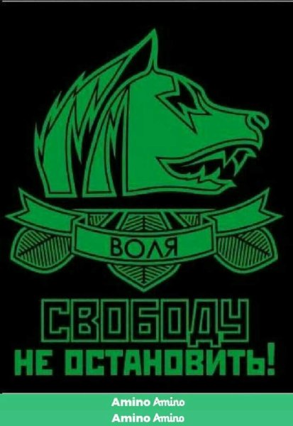 Группировка Свобода сталкер эмблема