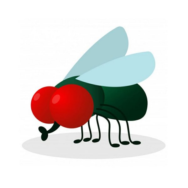 Муха логотип