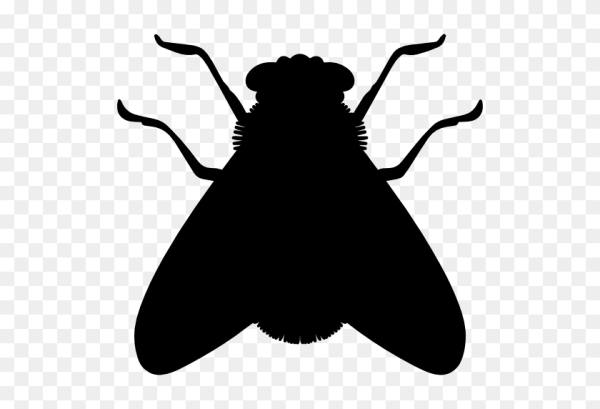 Муха трафарет