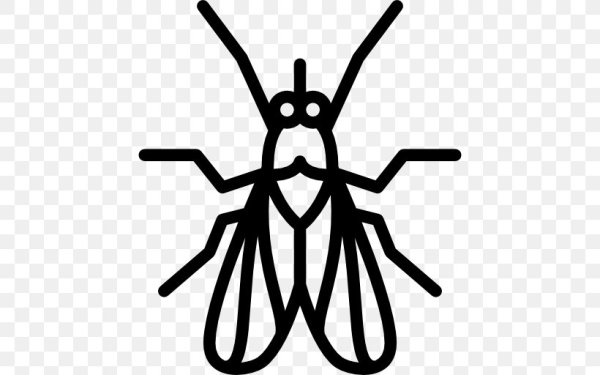 Комар символ