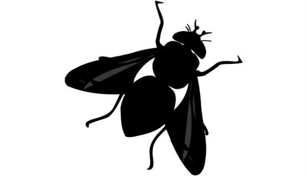 Муха вектор