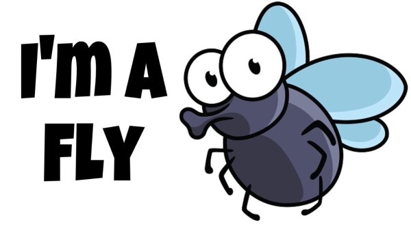 Граффити Муха