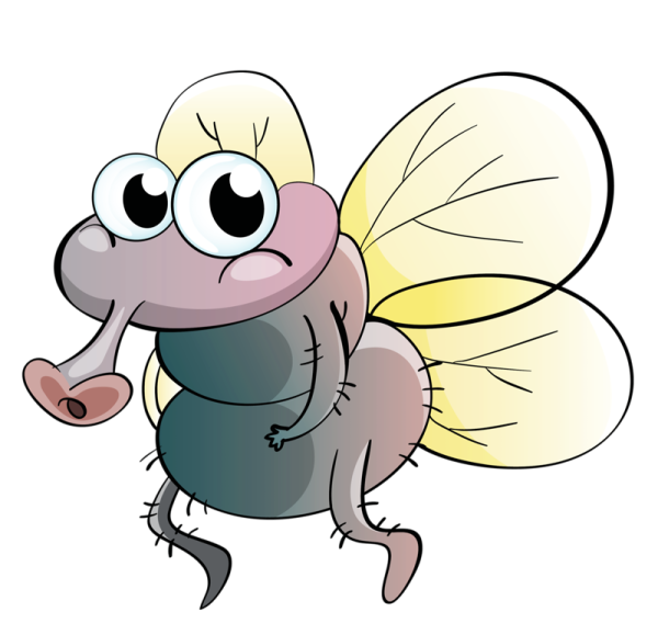 Муха Сказочная веселая