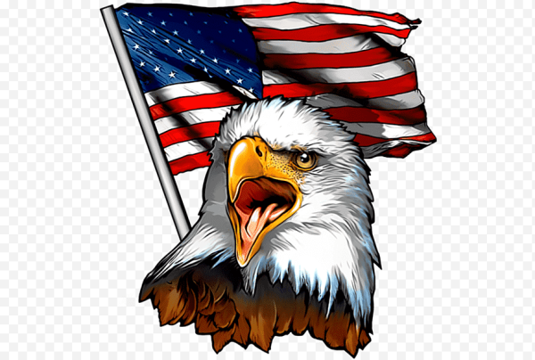 Белоголовый Орлан США