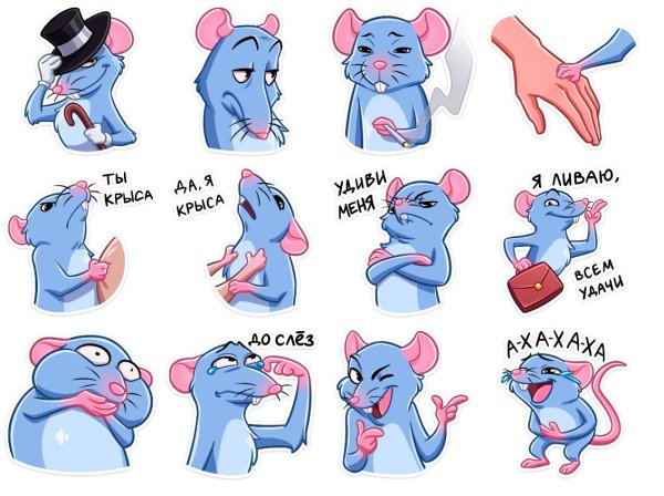 Пак Мистер крыс