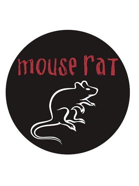 Милые арты крыс