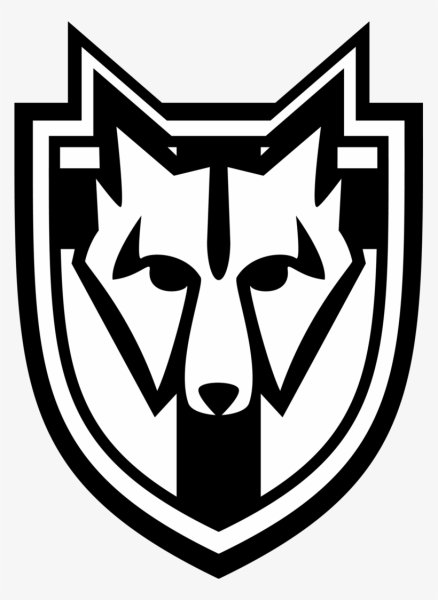 Скайрим значок ICO