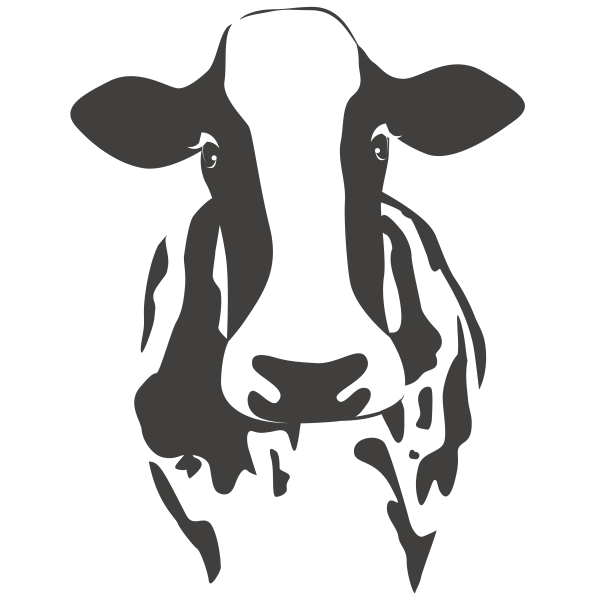 Морда коровы