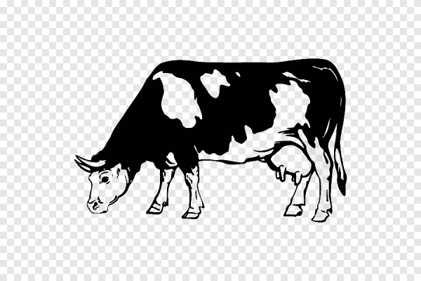 Наклейки "коровы"