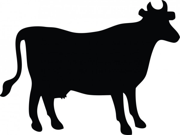 Силуэт коровы для детей