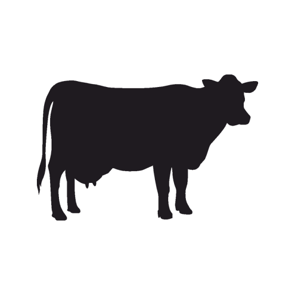 Лого мясо голова коровы