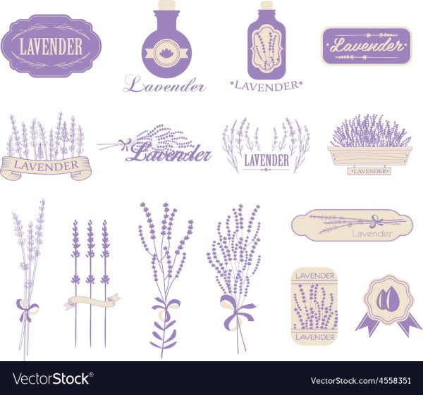 Лаванда этикетка