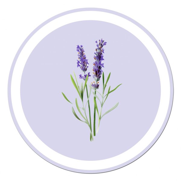 Веточка лаванды