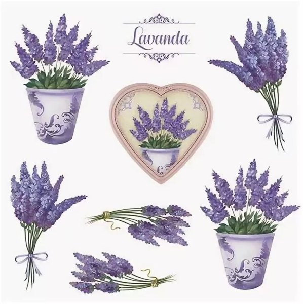 Лавандовый венок вектор