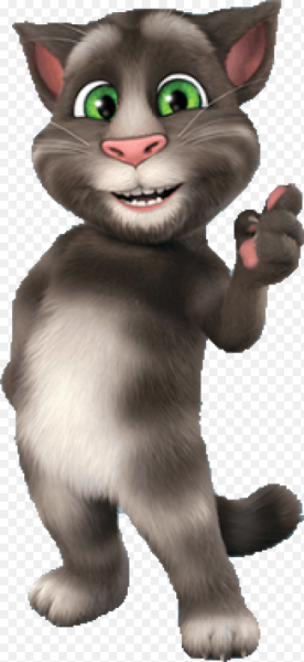 Кот том и Анжела