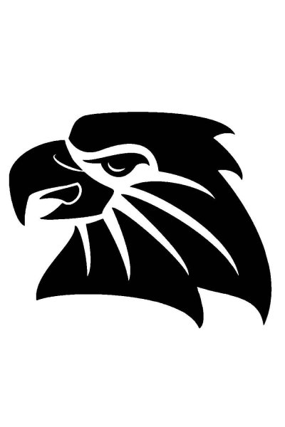 Наклейка голова орла