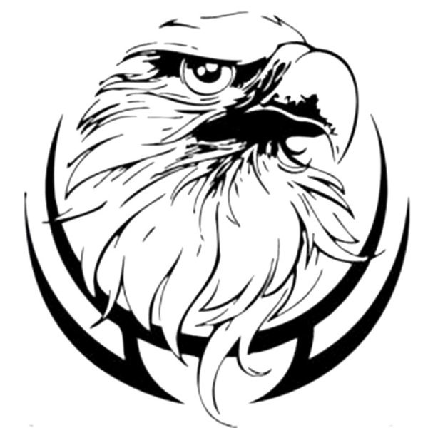 Голова орла Графика