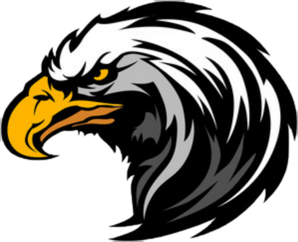 Голова орла без фона