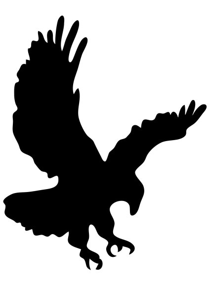 Наклейки хищных птиц