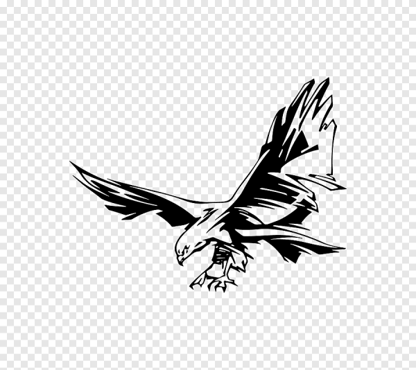 Ястреб Графика