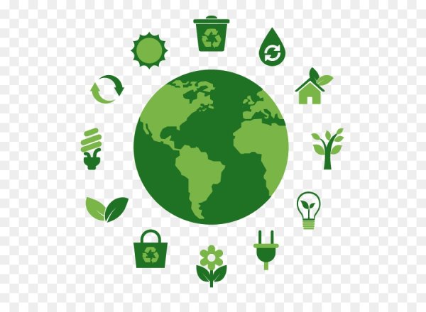 Дерево экология