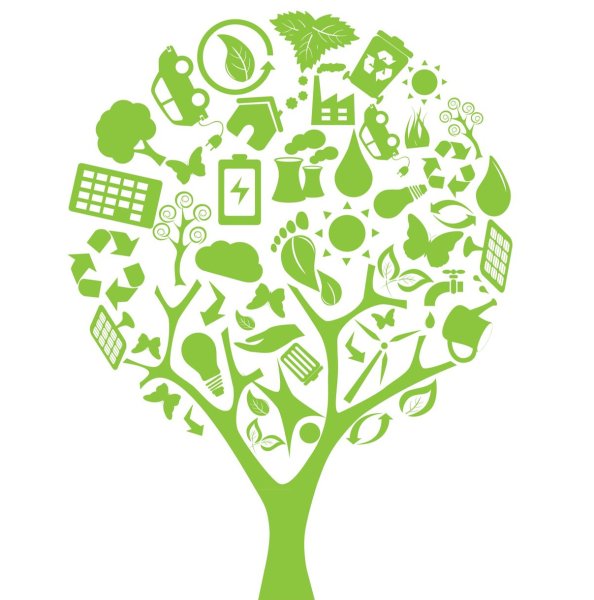 Экосистема для детей