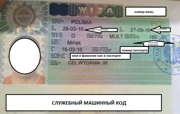 Номер визы шенген