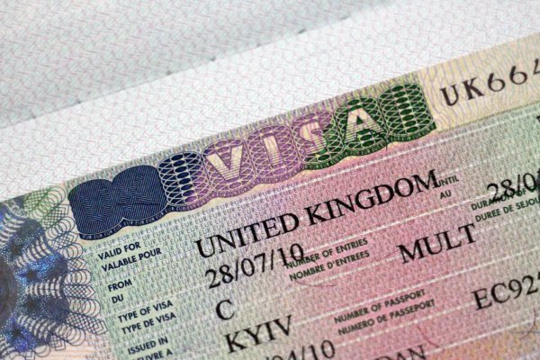 Номер шенгенской визы