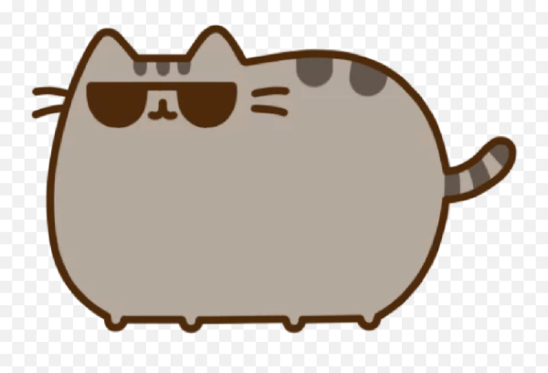 Кот Pusheen и магазин