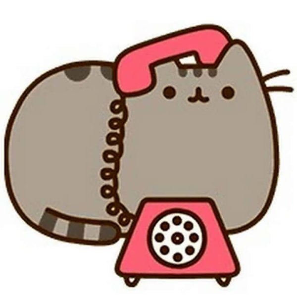 Кот Пушин сыщик