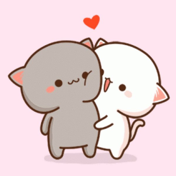 Кавайные котики обнимаются