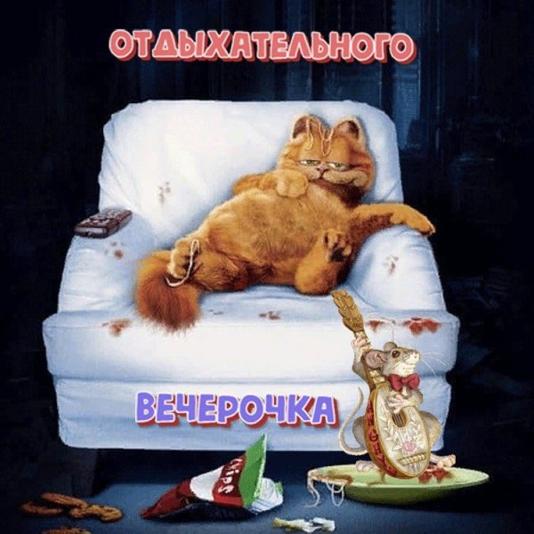 Добрый вечер с юмором прикольными