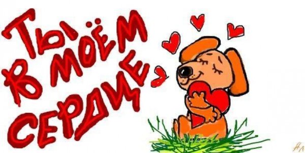 Котик с сердцем