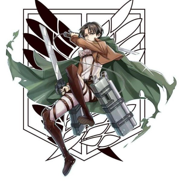 Атака титанов наклейки Леви