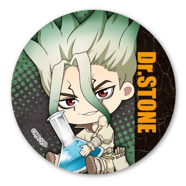 Доктор Стоун Чиби