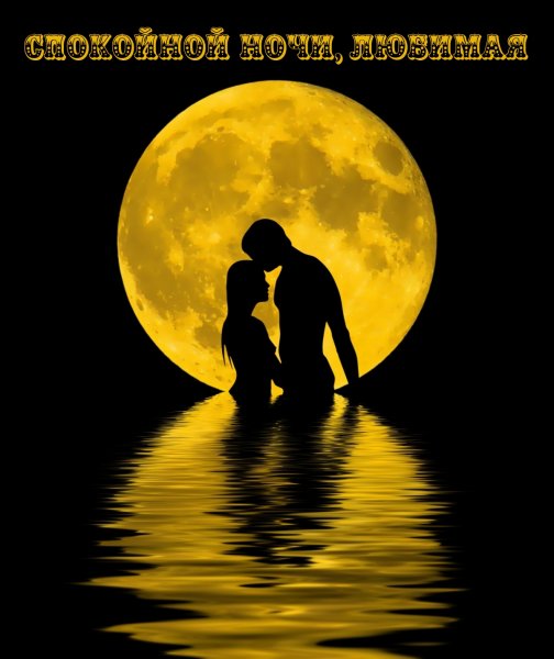 Парочка на фоне Луны