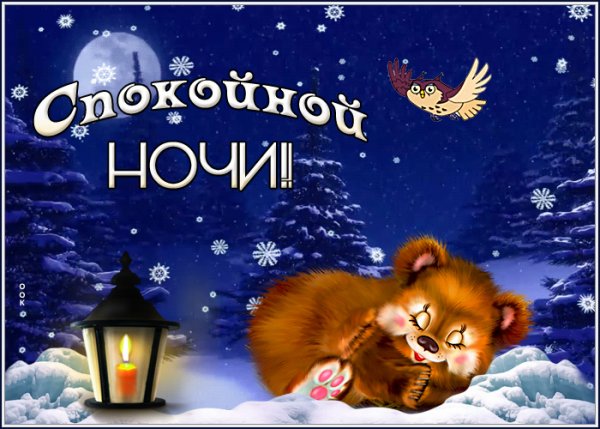 Спокойной зимней ночи