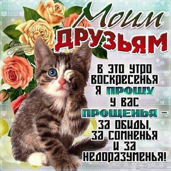 Открытки с прощением