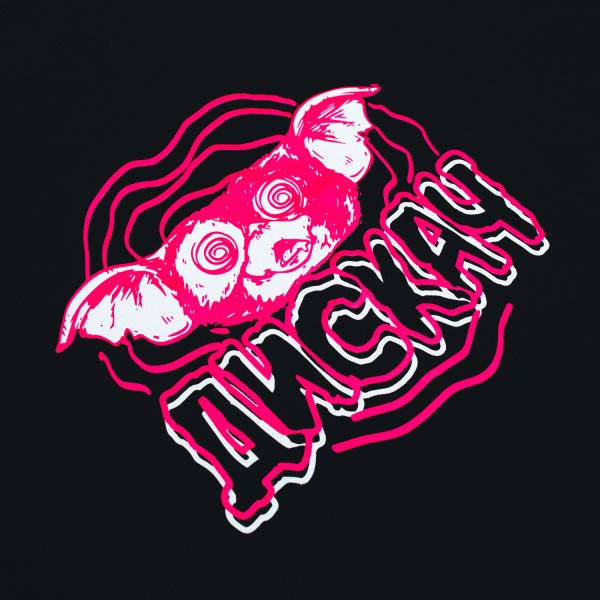 Мерч Руслана смн химия