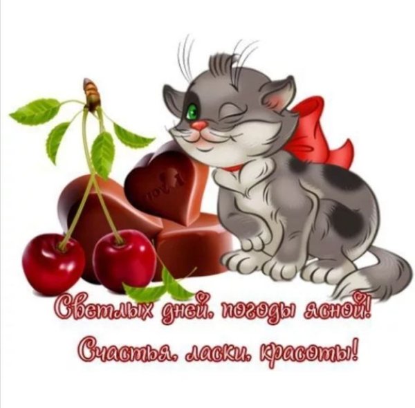 Удачного дня на прозрачном фоне