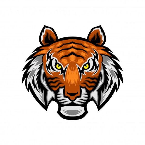 Агрессивный тигр вектор