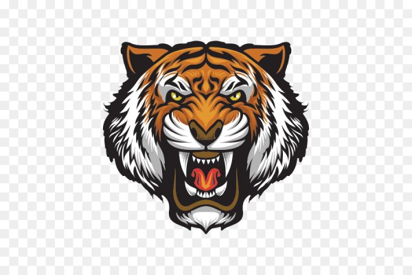 Тигр трафарет