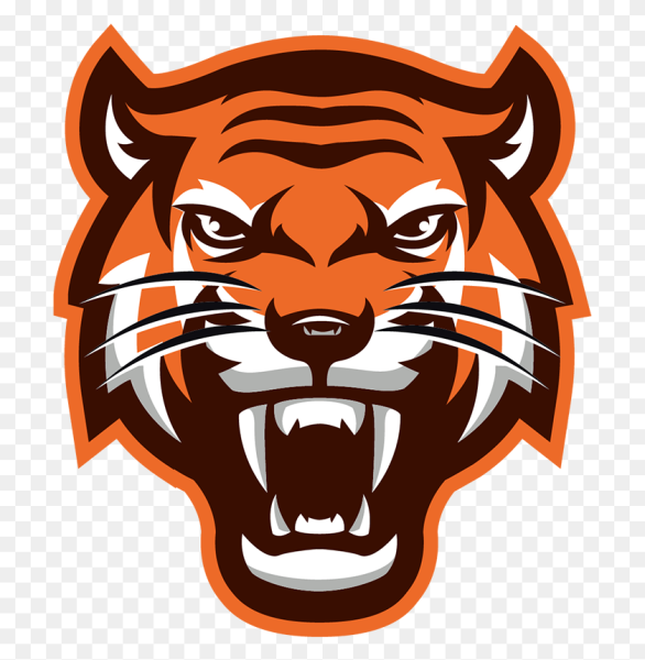 Тигр в профиль рисунок